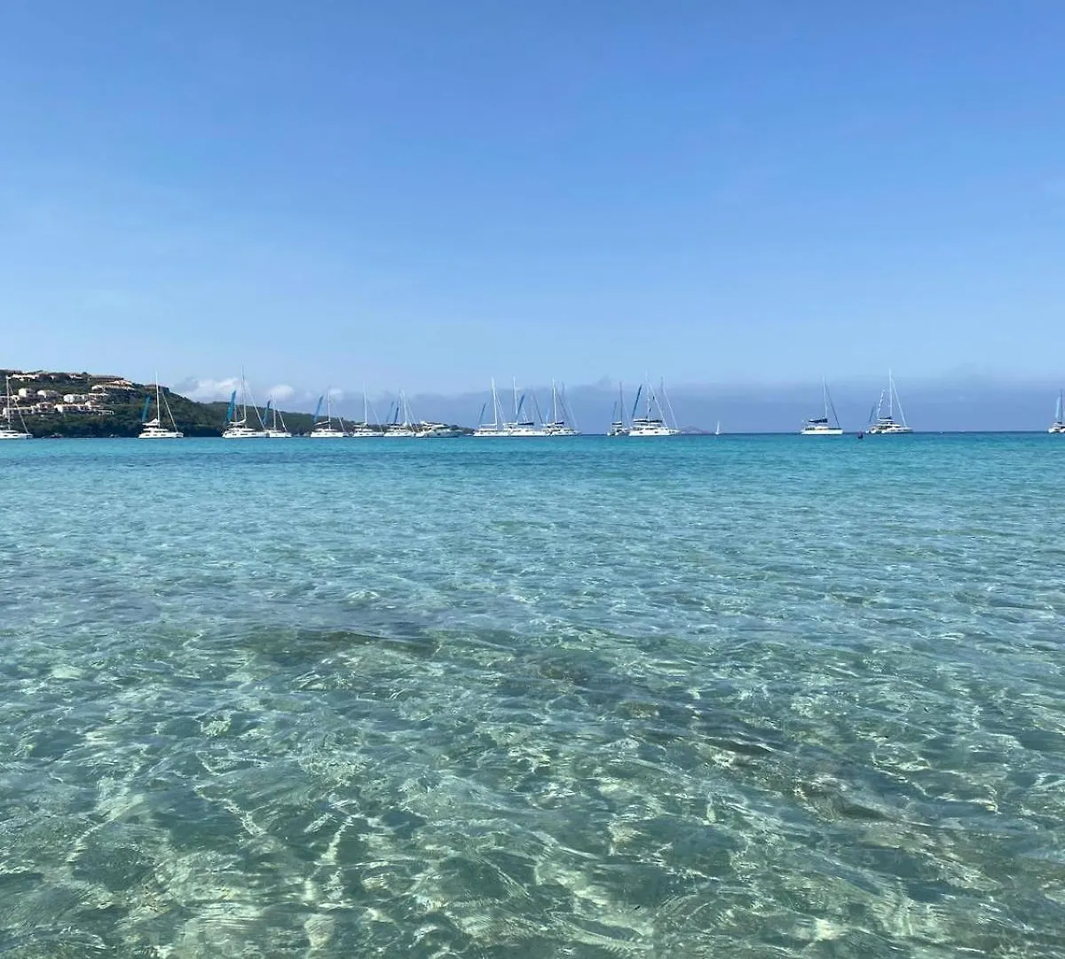 La Tartaruga Apartment Porto Rotondo
